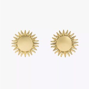 Zara maxi sun Earrings